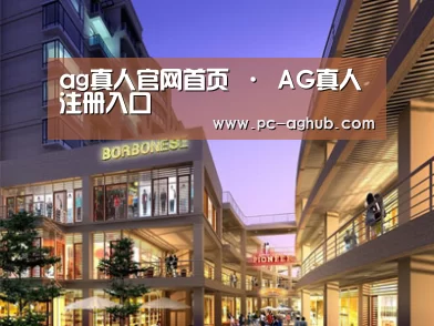 案例展示一(图1)