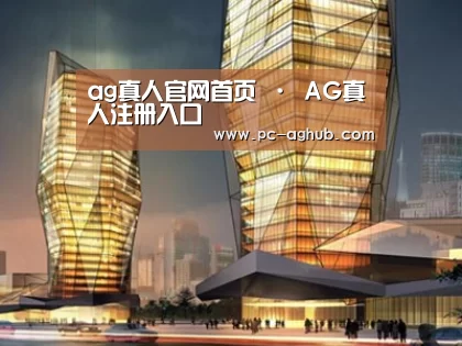 案例展示三