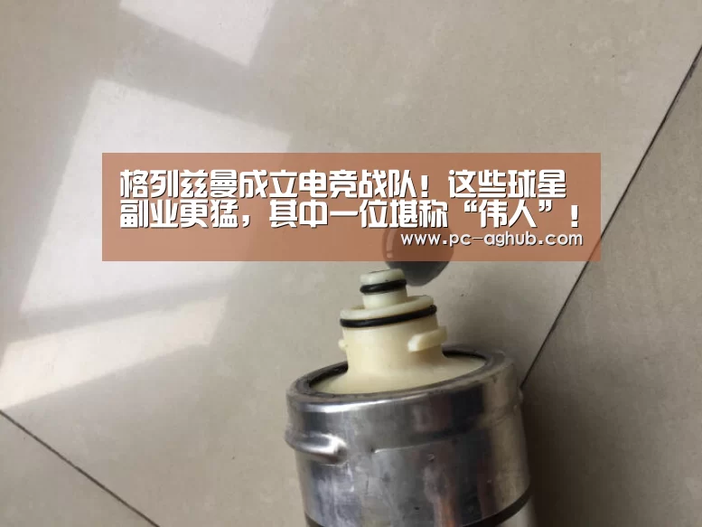 格列兹曼成立电竞战队!这些球星副业更猛,其中一位堪称“伟人”!【ag真人厅下载】(图3) ag真人厅下载