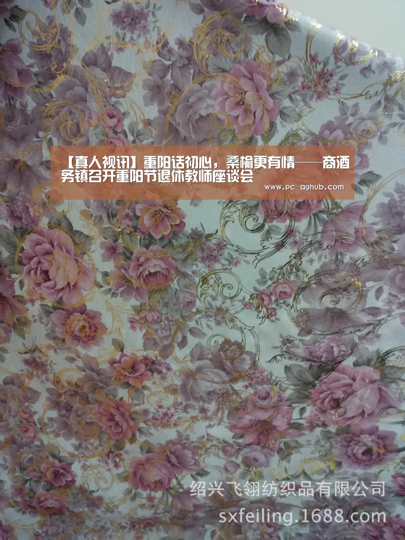 AG真人娱乐